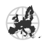 transporte Internacional